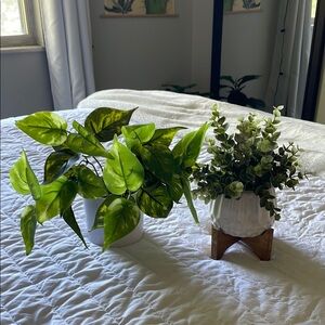 Greenery Duo in White Planters